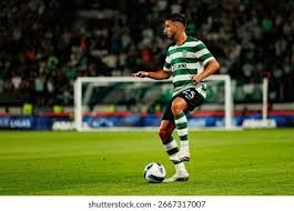 MLB联盟国际赛事计划公布